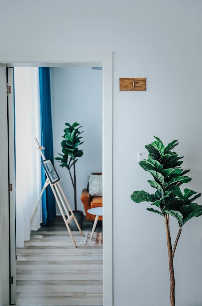 Dali Dream Plus Homestay