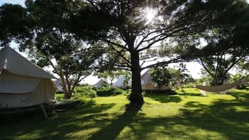 Pension Prussian Blue - Campsite