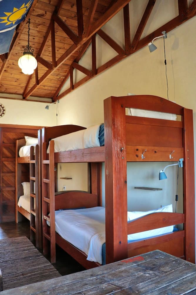 Salty Jackal Surf Camp