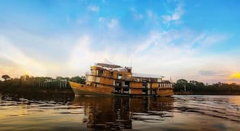 Rivers & Forest Expeditions