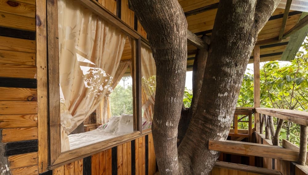 El Edén Treehouse