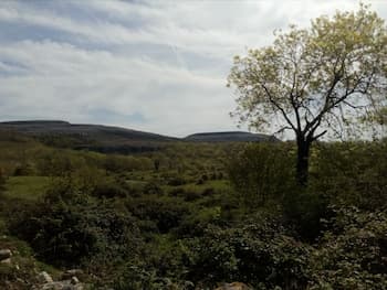 Burren Bushcraft - Camping & Adventures
