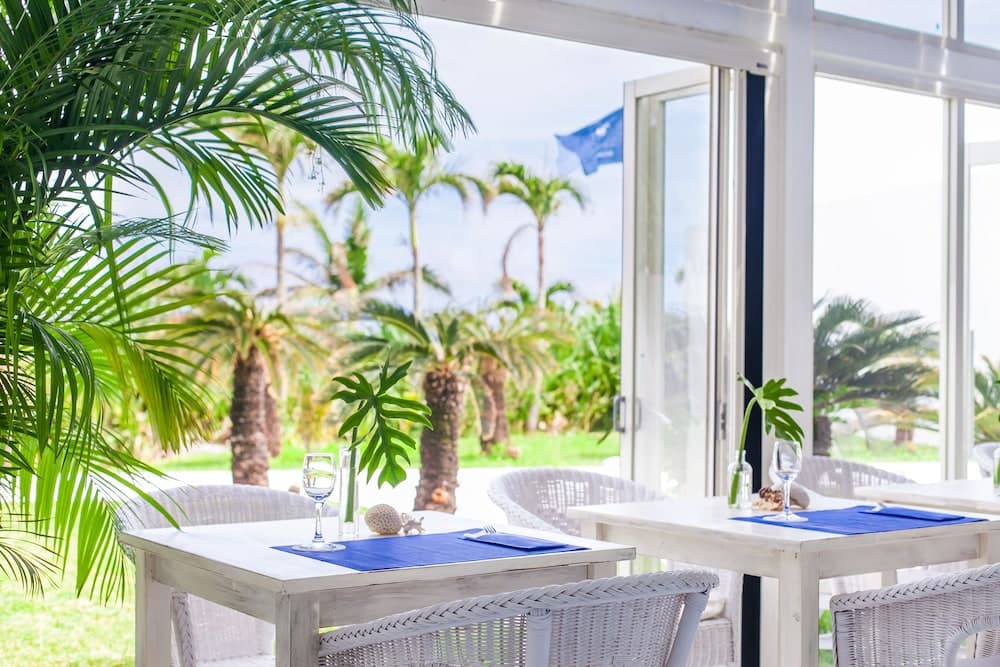 Windy Earth SILENT CLUB