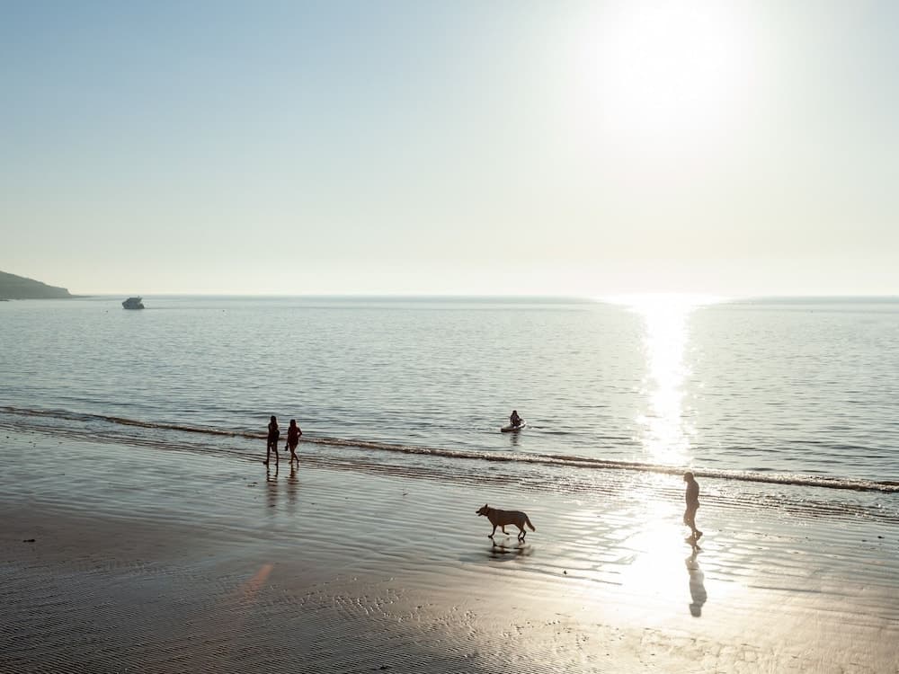 Observation Apartment On The Beach