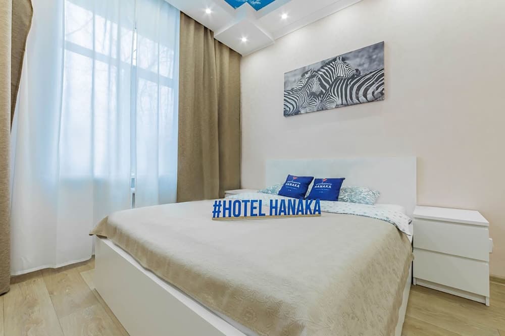 Apartment Hanaka Vladimirskaya 9