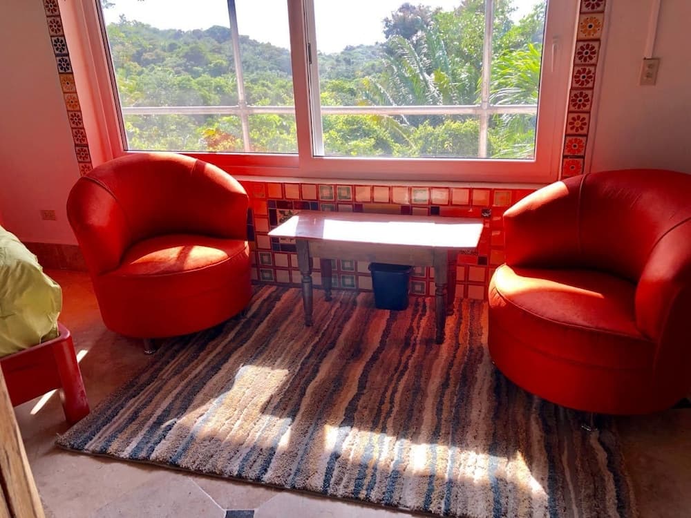 Mid-Century Style House