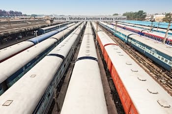 OYO 13419 Green palms