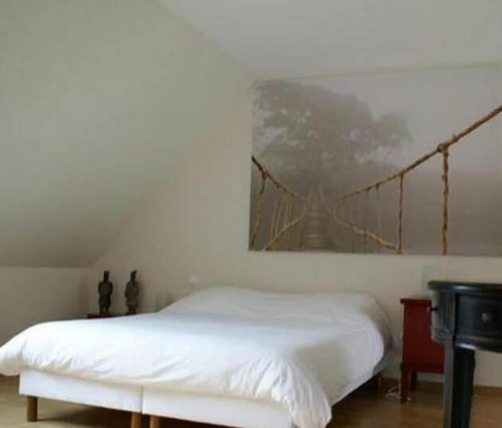 La Canopée des pins