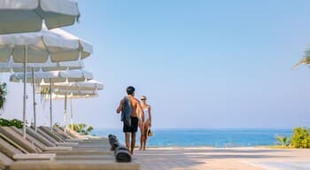 The Ivi Mare - Designed for Adults