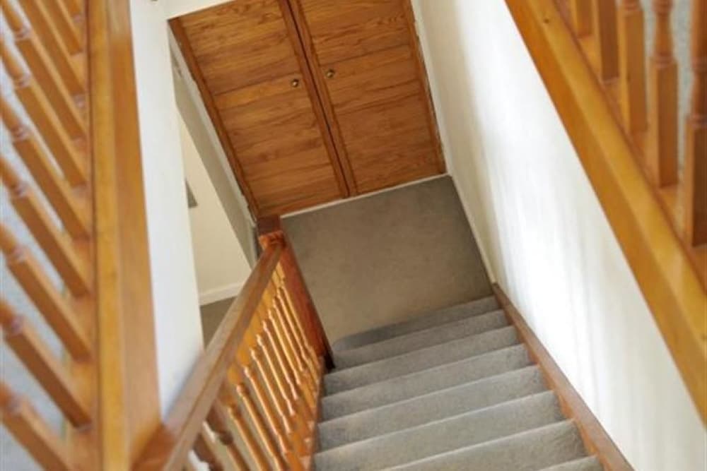 Green Door - Marigold