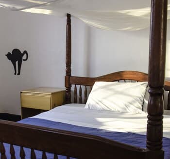 The Fat Cat Backpackers