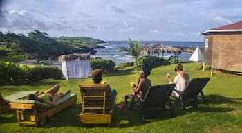 Go Natural Jamaica Retreats