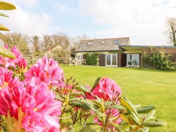 Higher Kernick Stable