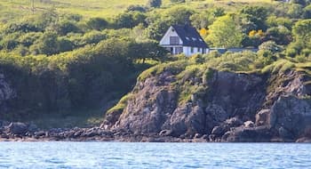 KnoydART Bed and Breakfast