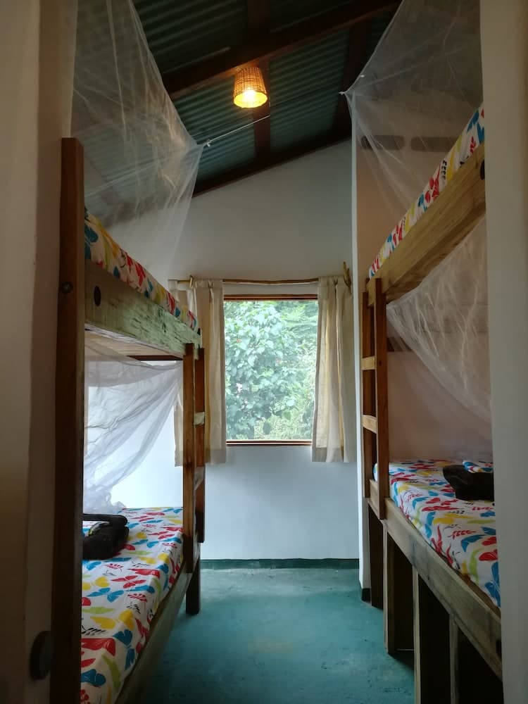 Mundo Nuevo Eco Lodge