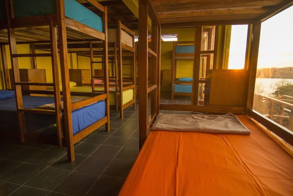 One Tree Hill - Hostel