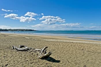 Auckland Hauraki Modern Guest House