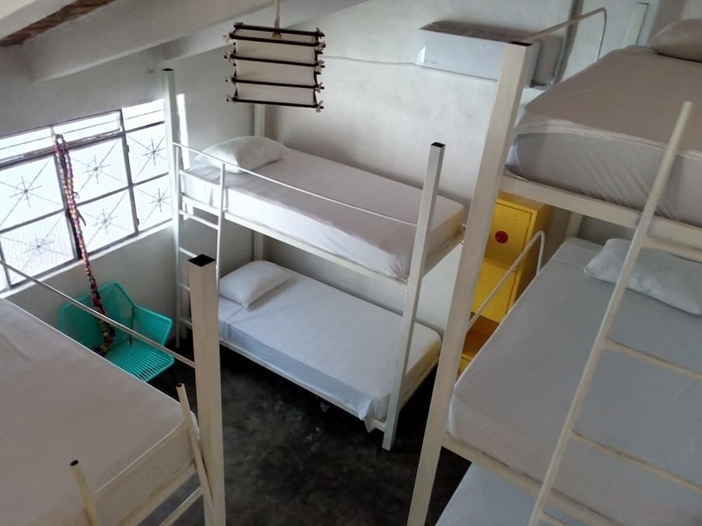 Shaka Surf House - Hostel