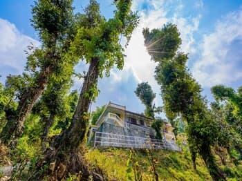 OYO 14134 Home Devdar Cottage Kempty Road