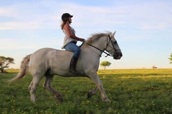 El Galope Horse Farm & Hostel