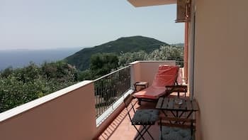 Olive Tree Apartment