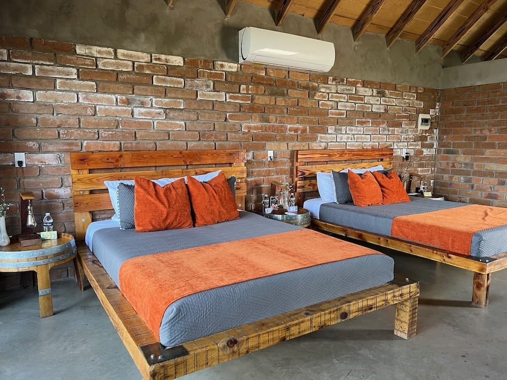 Don Tomas Viñedo Cabañas