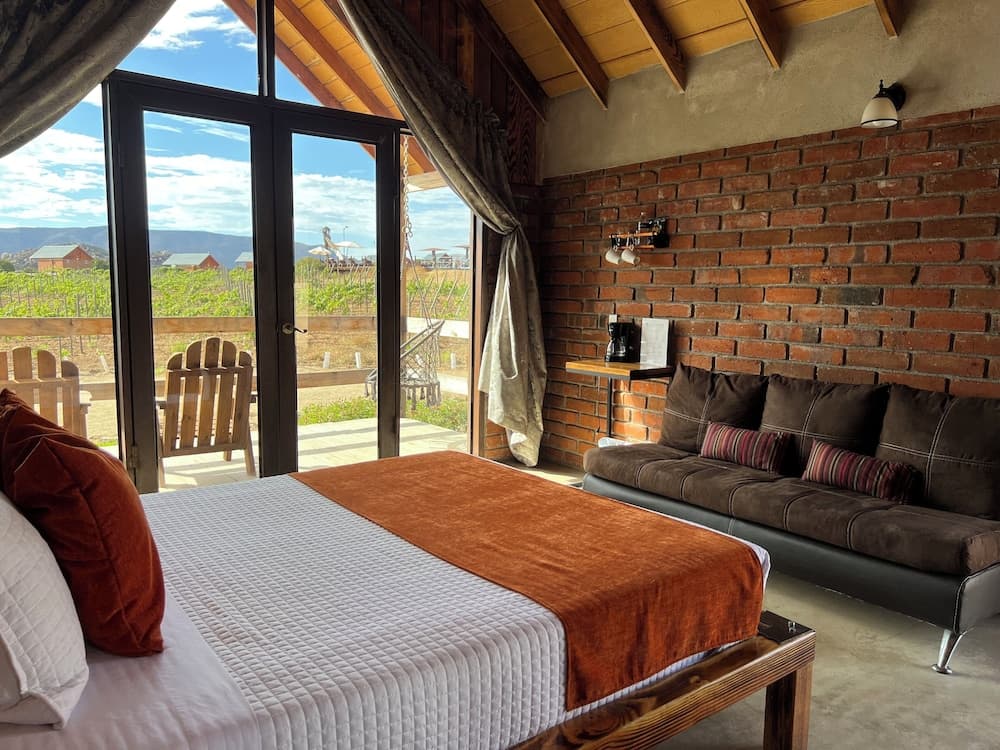 Don Tomas Viñedo Cabañas