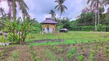 Emperor's Organic Farm