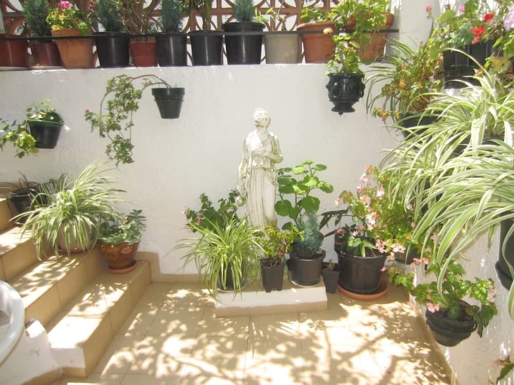 Apartamento Económico en el Casco Antiguo - 3006