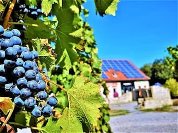 Camping Schwabenmühle