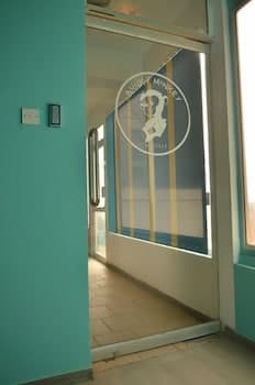 Bunky Monkey - Hostel