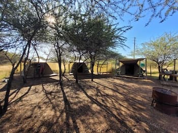 Thorn Tree Bush Camp