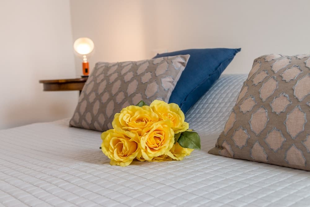 Venezia Spirito Santo Canal View