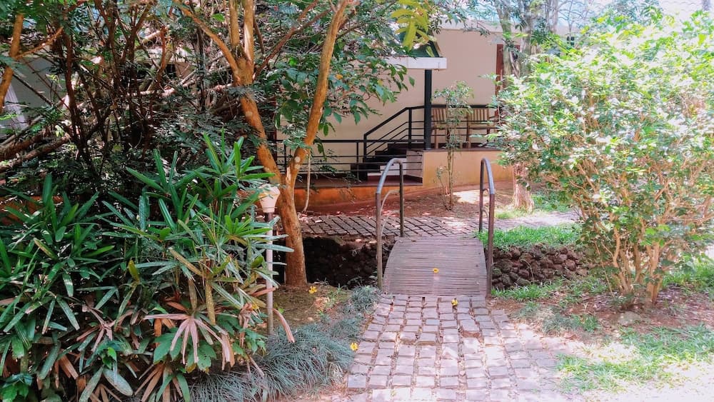 Vythiri Greens Resort