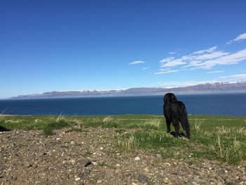 Steinn Farm Private Apartment