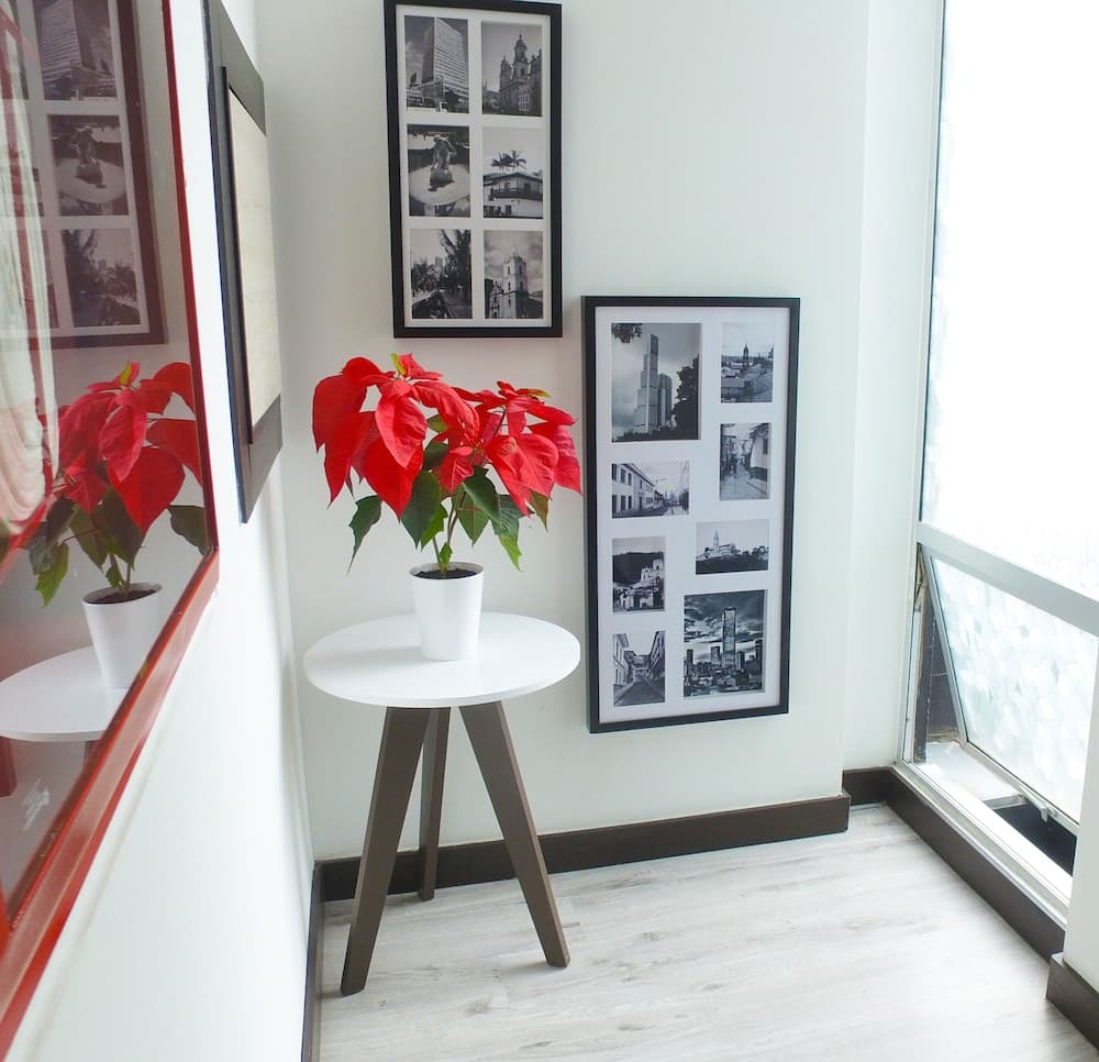 White Lighthouse Hotel