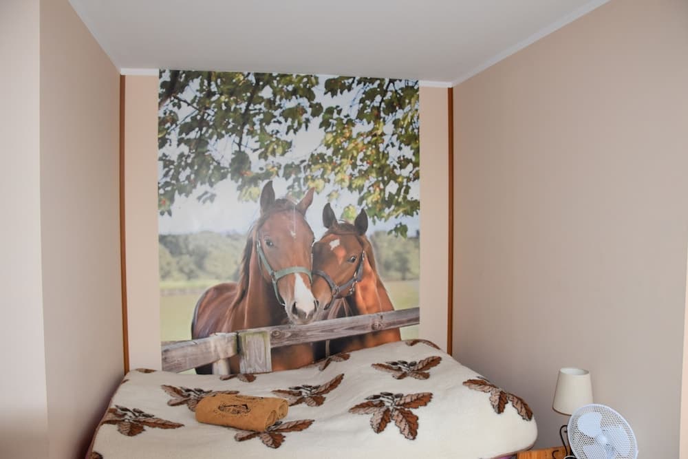 Agroturystyka u przyjaciol Soni