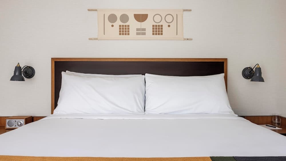 Trailborn Rocky Mountains