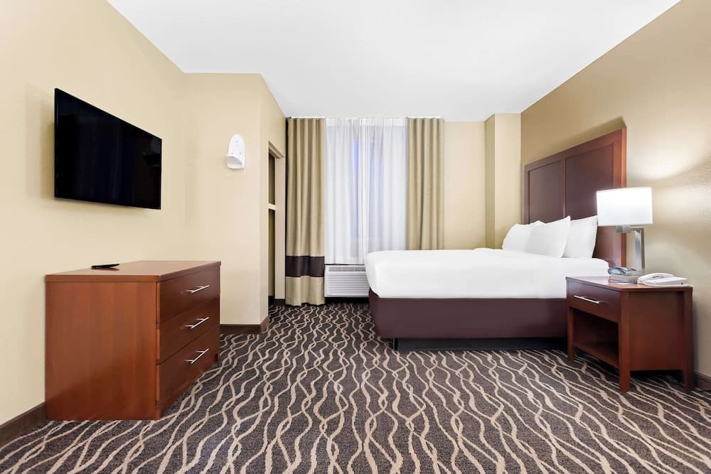 Comfort Suites Tampa Airport North