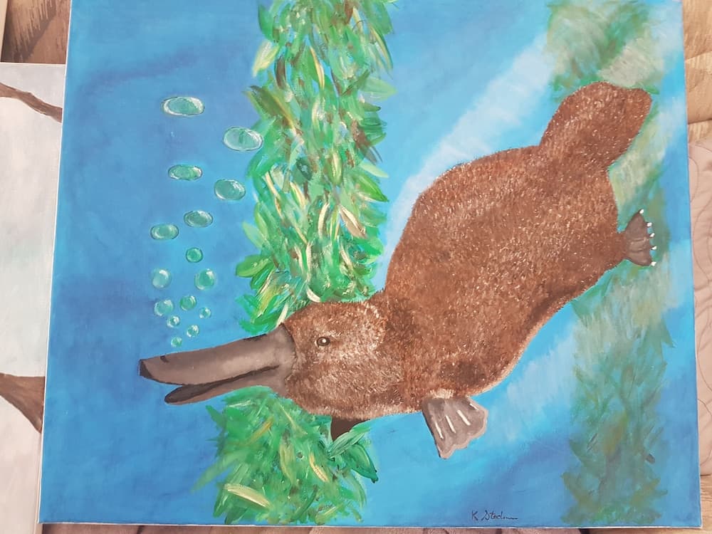 Barooga Country Inn Motel