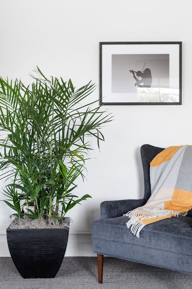 Elwood Hotel & Suites