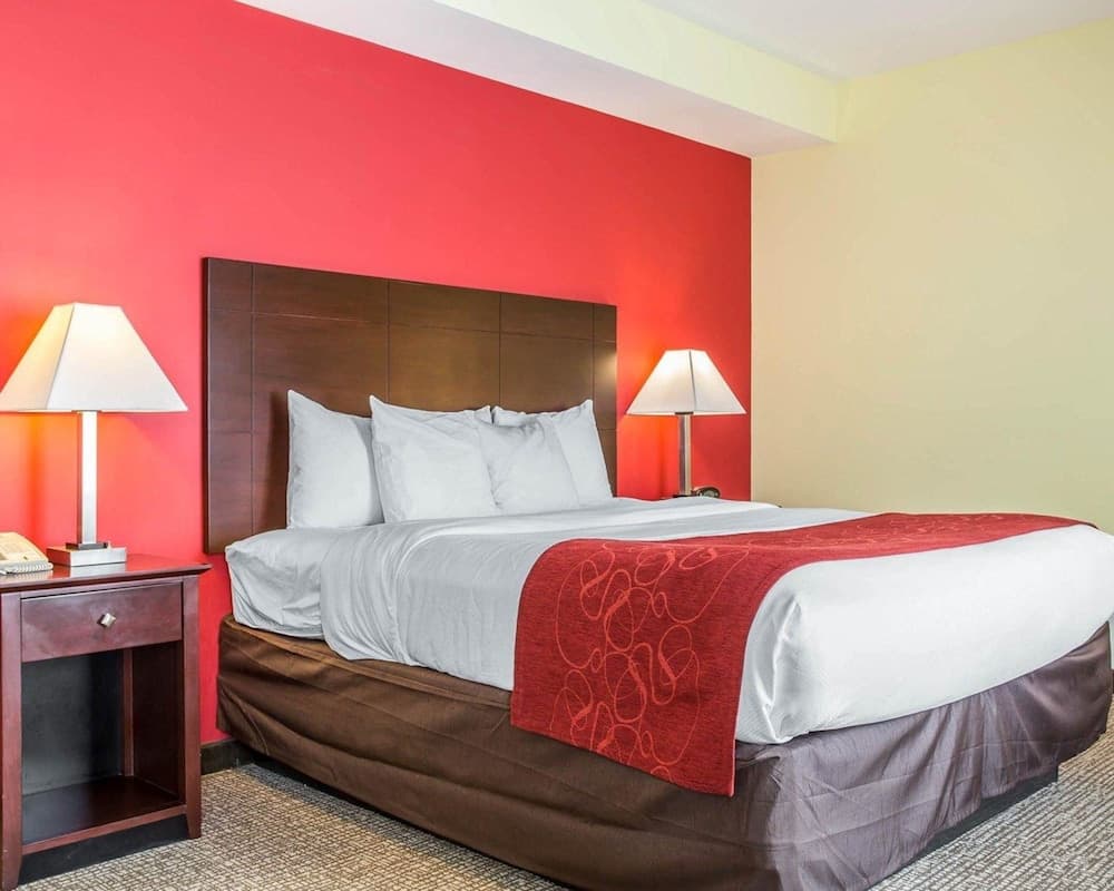 Comfort Suites Rock Hill Manchester Meadows Area