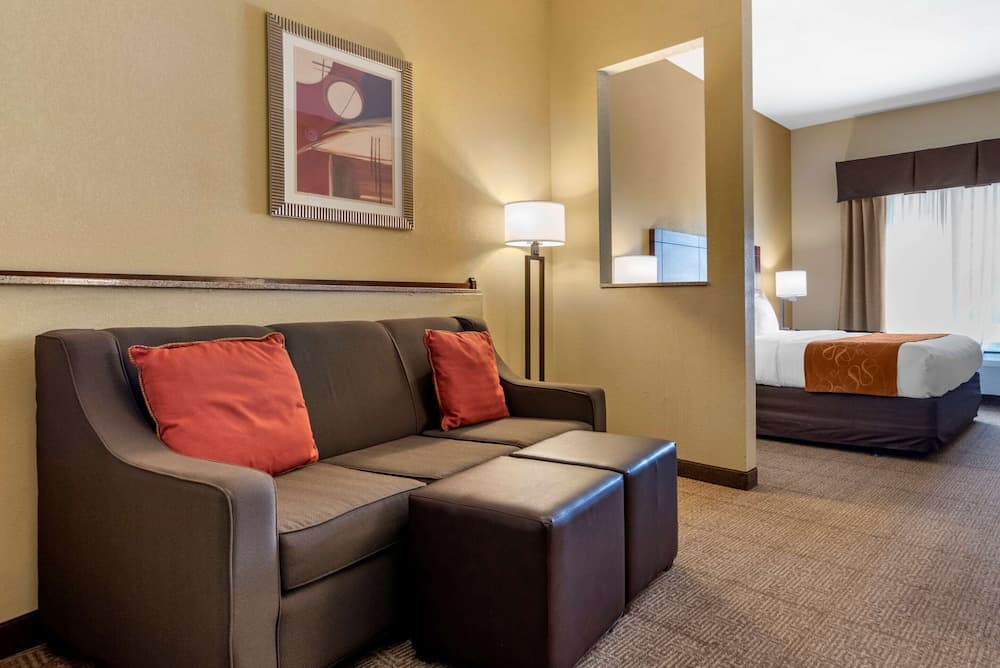 Comfort Suites Airport South