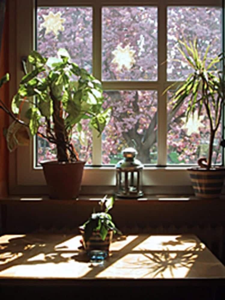 Hotel Rosengarten Kehl