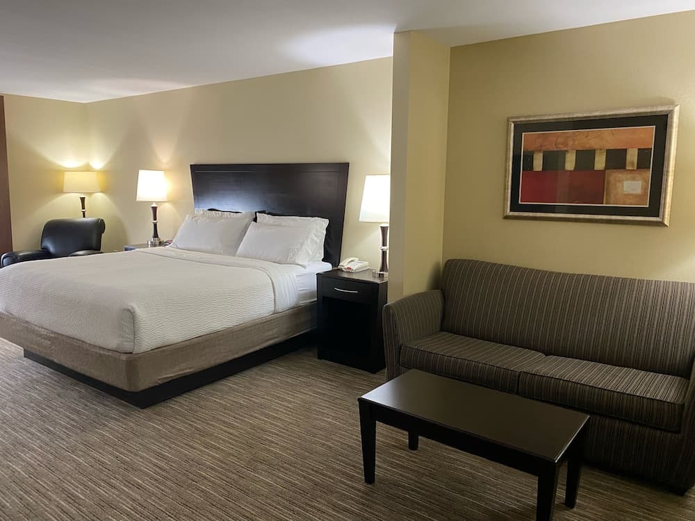Holiday Inn Express &Suites Snyder by IHG