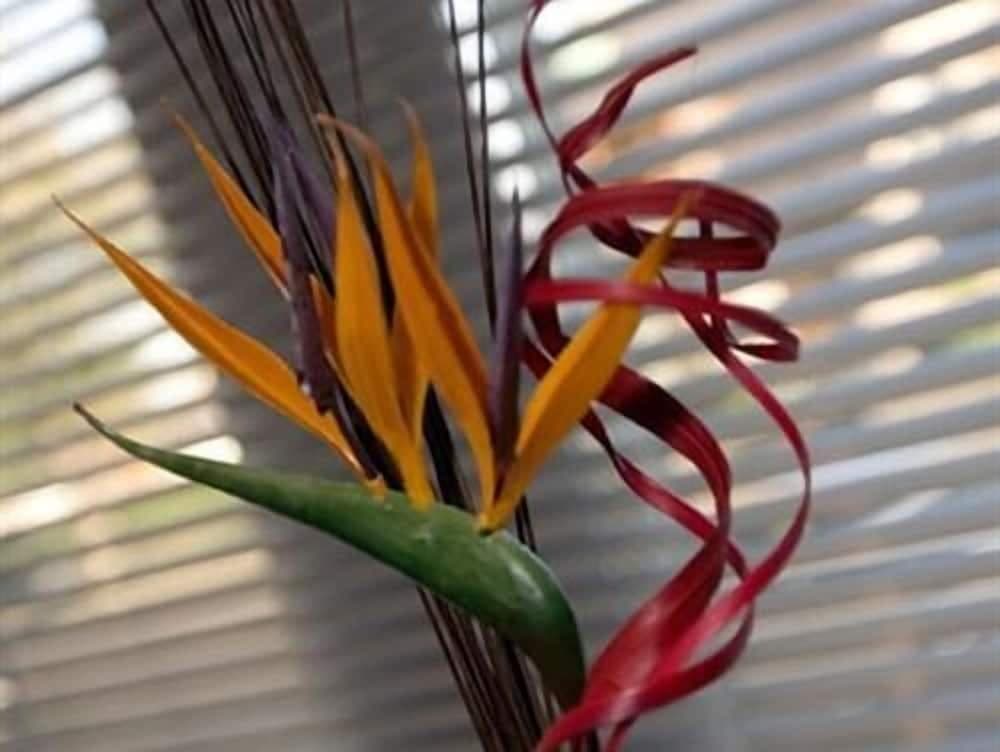 Aberdeen Serviced Apartments - The Lodge