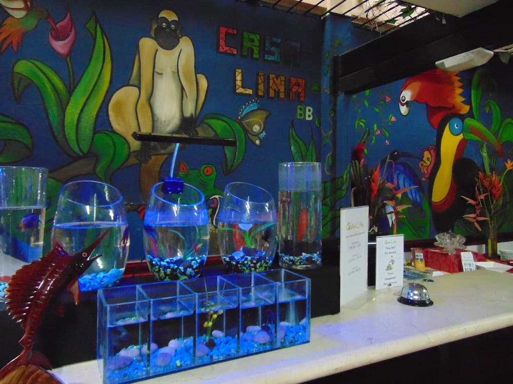 Casa Lima Bed & Breakfast