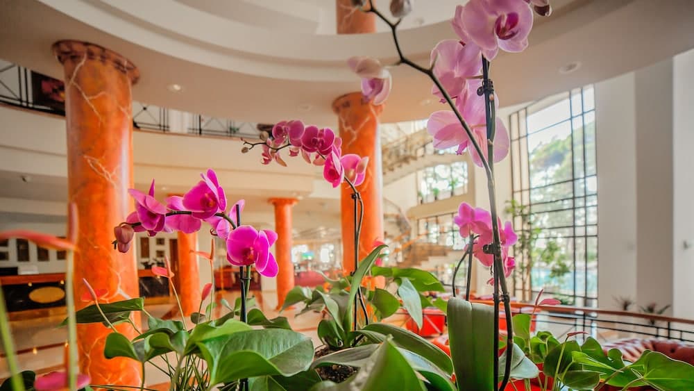 Georgia Palace Hotel & SPA