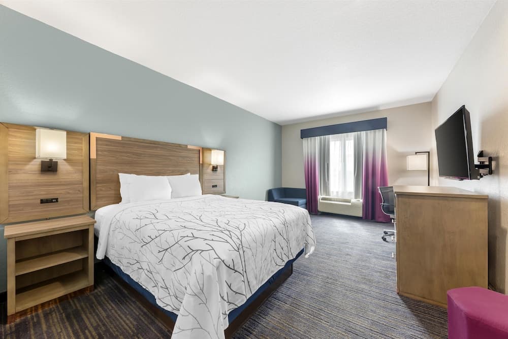 Best Western Plus San Antonio East Inn & Suites