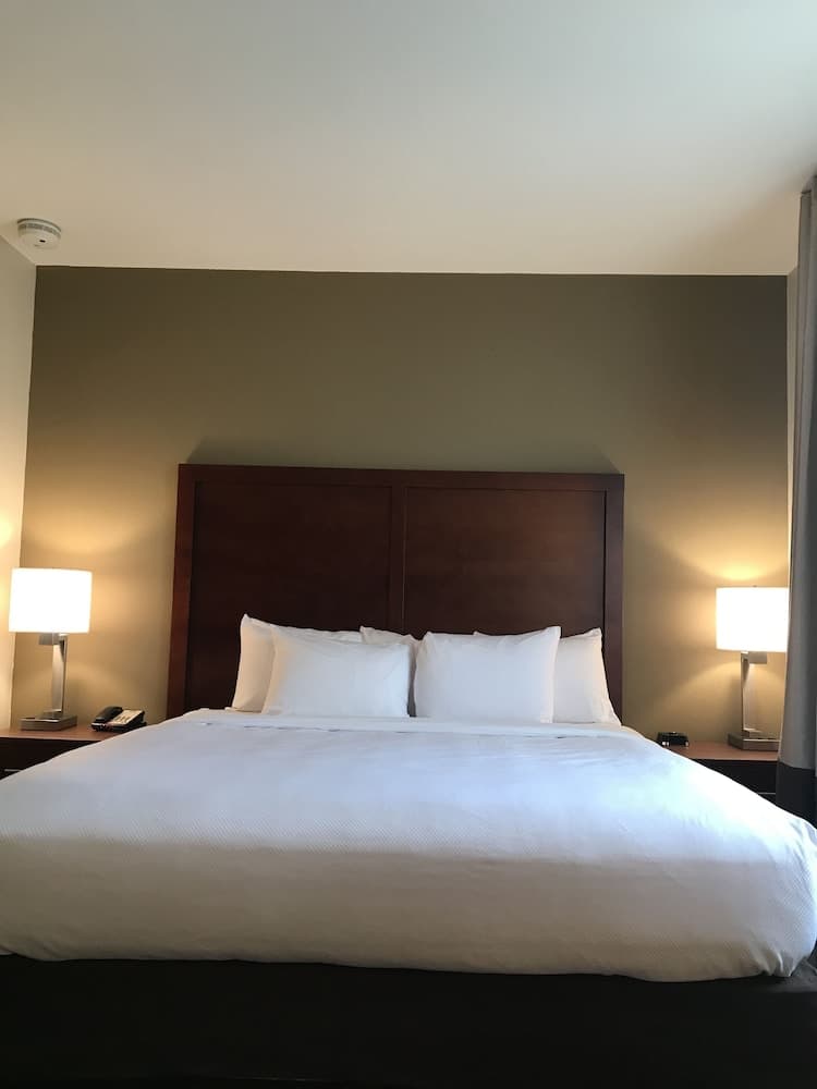 Comfort Suites Clarksville near Governors Square Mall